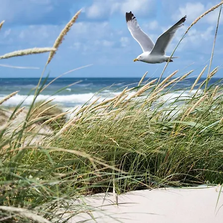 In With Sea Views شقة *